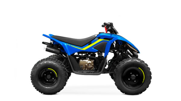 CFORCE 110 LV - Image 2
