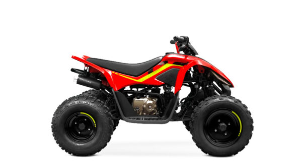 CFORCE 110 LV