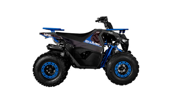 SHARK 125 - Image 2